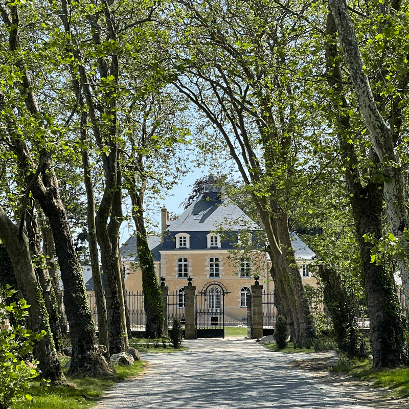 Domaine Le Mezo à Ploeren